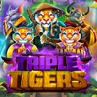 Triple Tigers